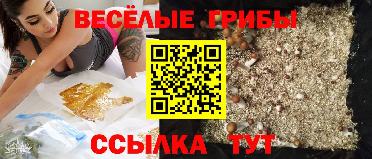 Екатеринбург  Галлюциногенные грибы ЛСД  Вход с VPN 
